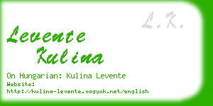 levente kulina business card